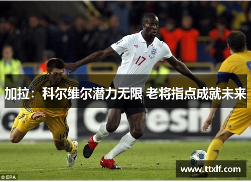 加拉：科尔维尔潜力无限 老将指点成就未来